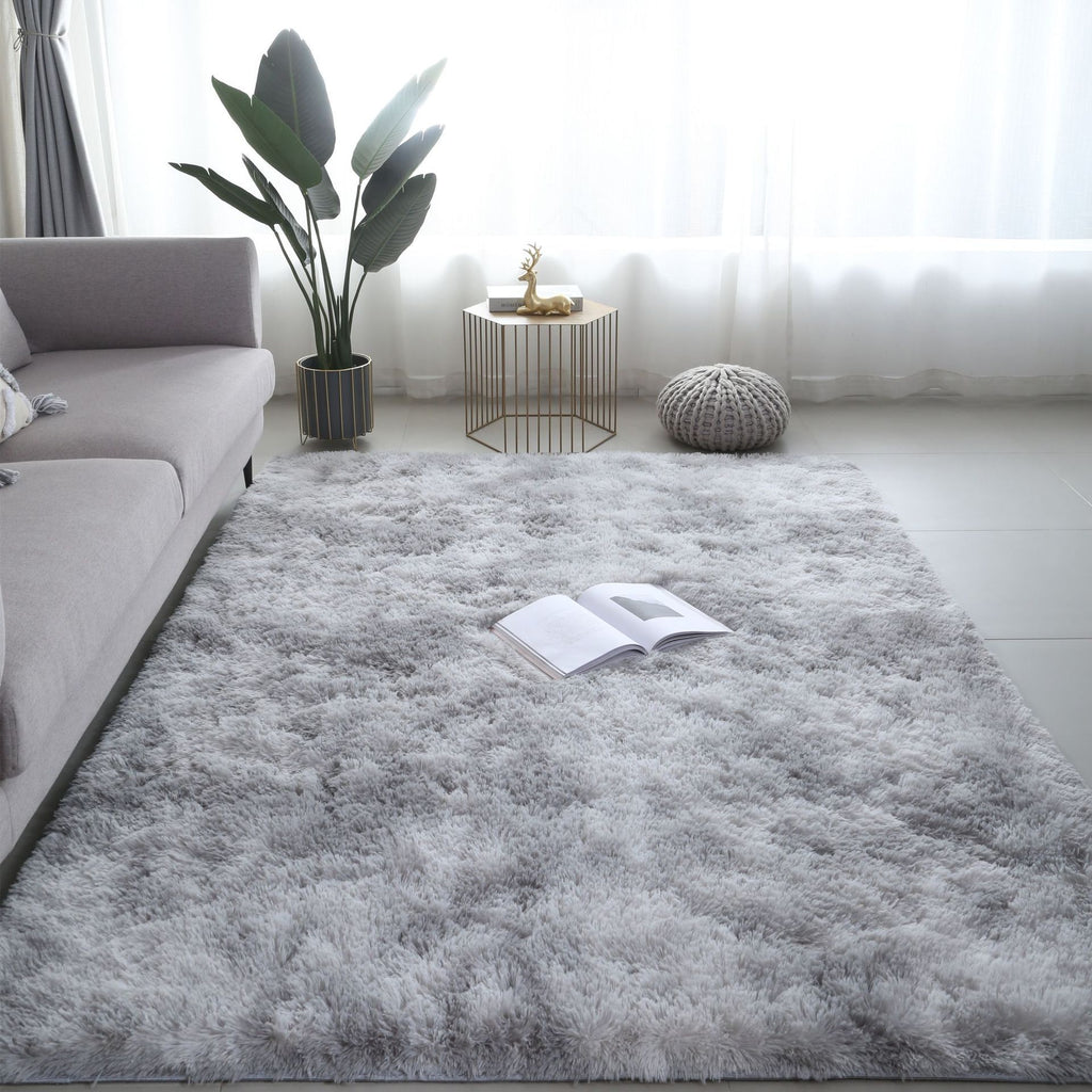 Carpet Rug