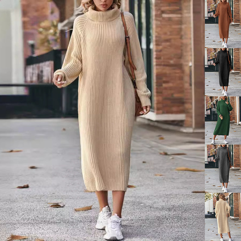 Turtleneck Knit Sweater Dress